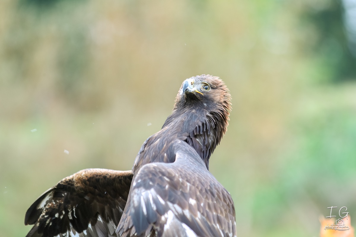 20211023 AK6I9918 insta